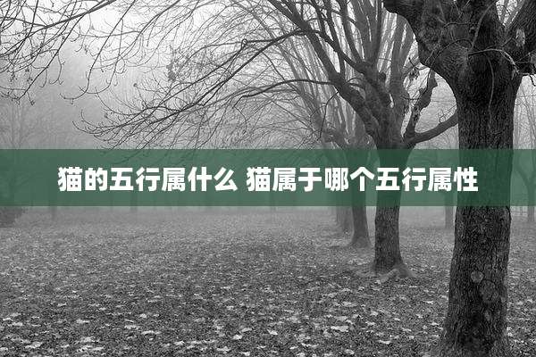 猫的五行属什么 猫属于哪个五行属性