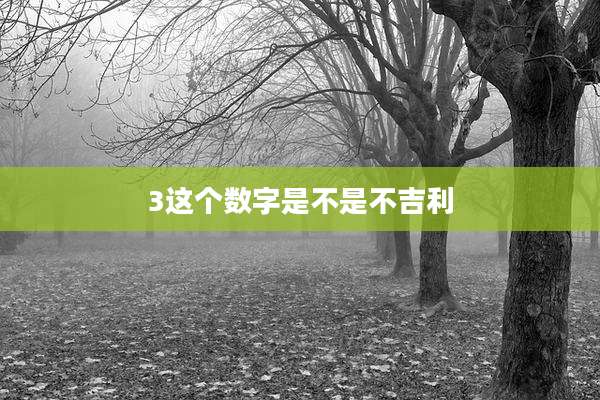 3这个数字是不是不吉利
