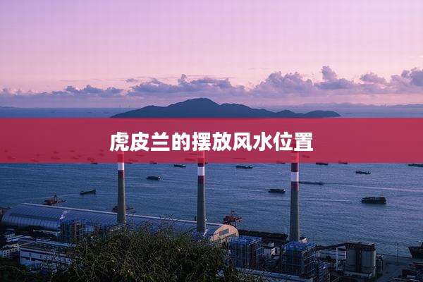 虎皮兰的摆放风水位置