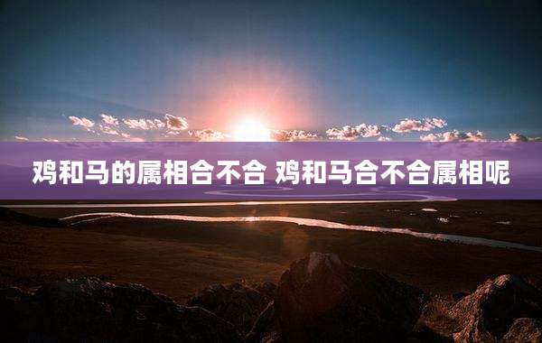鸡和马的属相合不合 鸡和马合不合属相呢