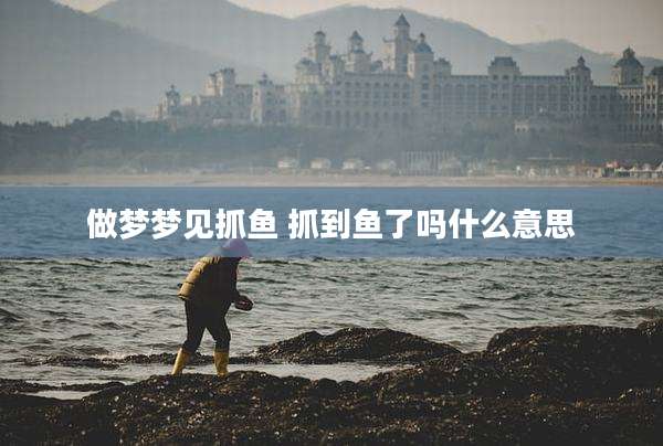 做梦梦见抓鱼 抓到鱼了吗什么意思