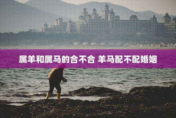 属羊和属马的合不合 羊马配不配婚姻