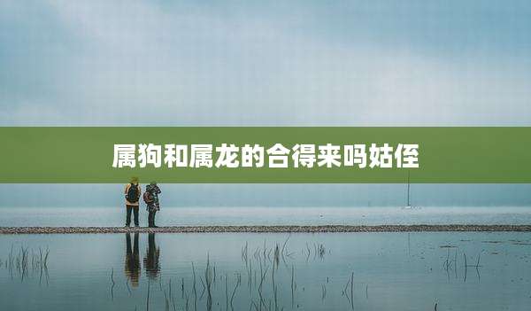 属狗和属龙的合得来吗姑侄