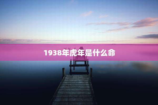 1938年虎年是什么命