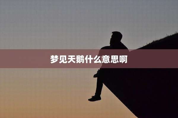 梦见天鹅什么意思啊