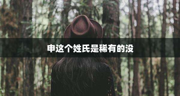 申这个姓氏是稀有的没