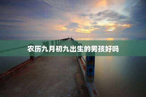 农历九月初九出生的男孩好吗