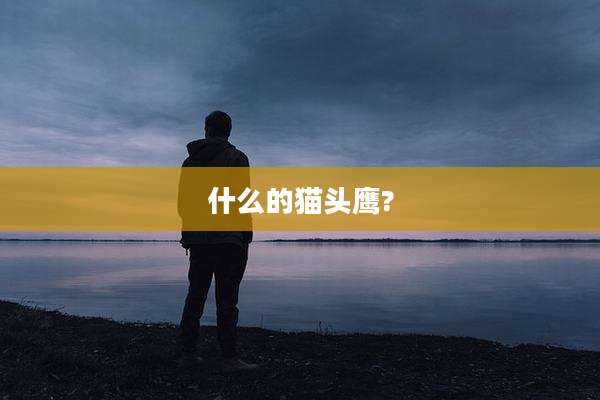 什么的猫头鹰?