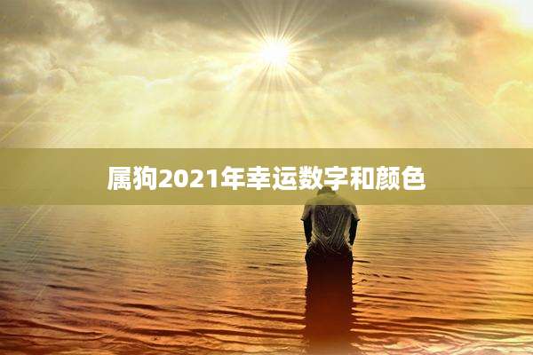 属狗2021年幸运数字和颜色