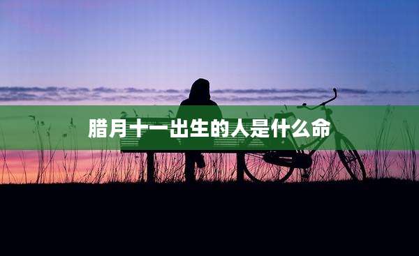 腊月十一出生的人是什么命