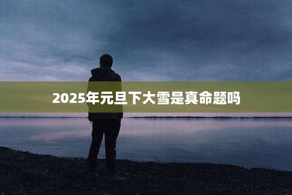 2025年元旦下大雪是真命题吗