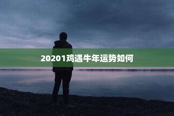 20201鸡遇牛年运势如何