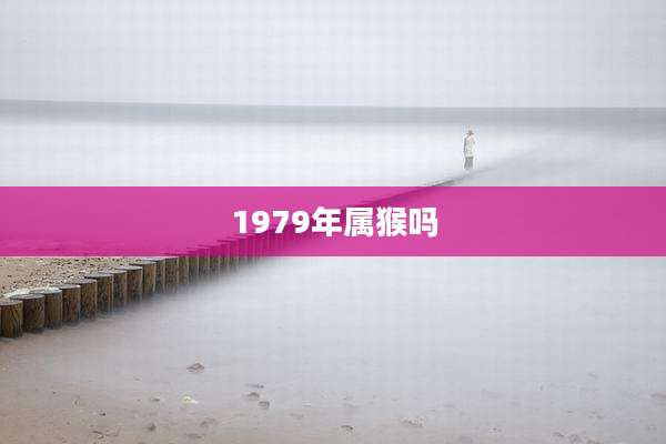 1979年属猴吗