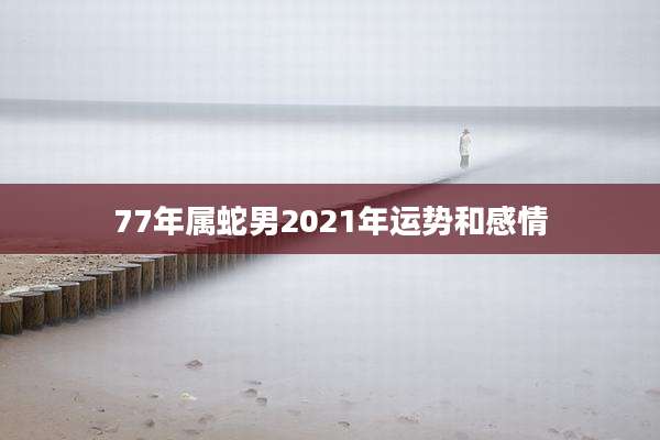 77年属蛇男2021年运势和感情