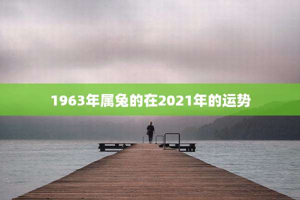 1963年属兔的在2021年的运势