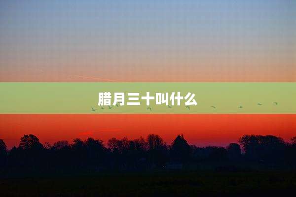 腊月三十叫什么