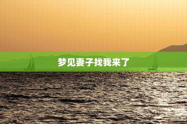 梦见妻子找我来了