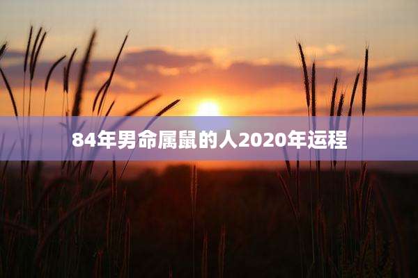 84年男命属鼠的人2020年运程