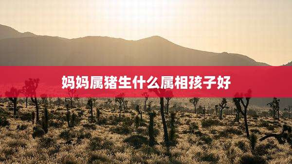 妈妈属猪生什么属相孩子好