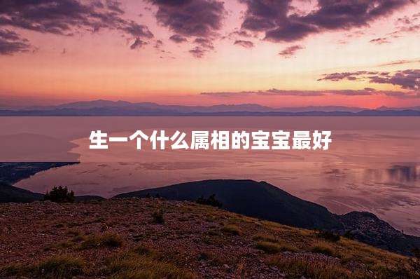 生一个什么属相的宝宝最好