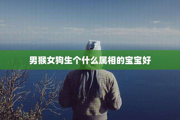 男猴女狗生个什么属相的宝宝好