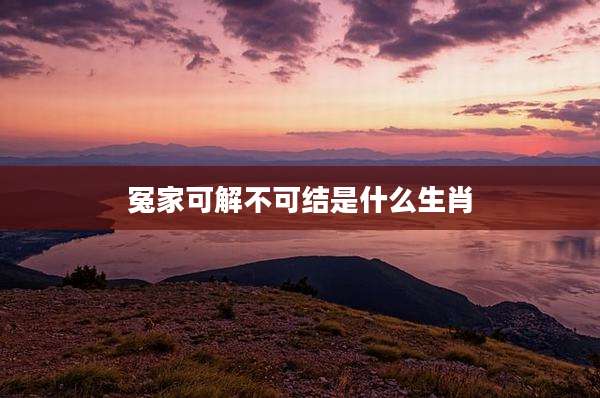 冤家可解不可结是什么生肖