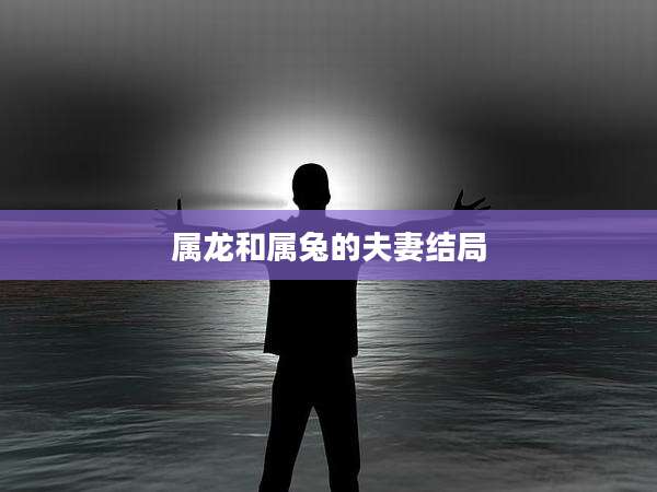 属龙和属兔的夫妻结局