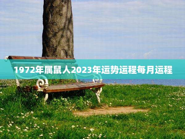 1972年属鼠人2023年运势运程每月运程