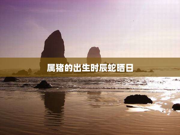属猪的出生时辰蛇晒日