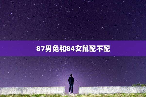 87男兔和84女鼠配不配