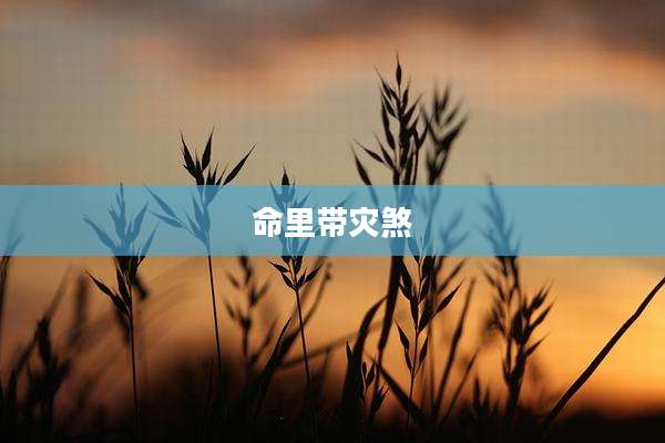 命里带灾煞
