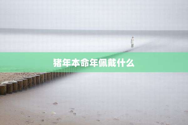 猪年本命年佩戴什么