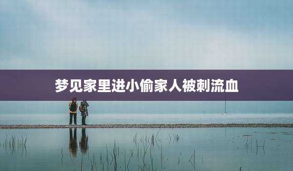 梦见家里进小偷家人被刺流血