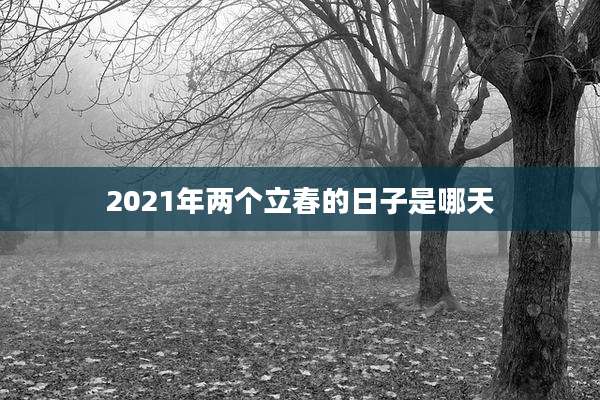 2021年两个立春的日子是哪天