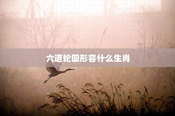 六道轮回形容什么生肖