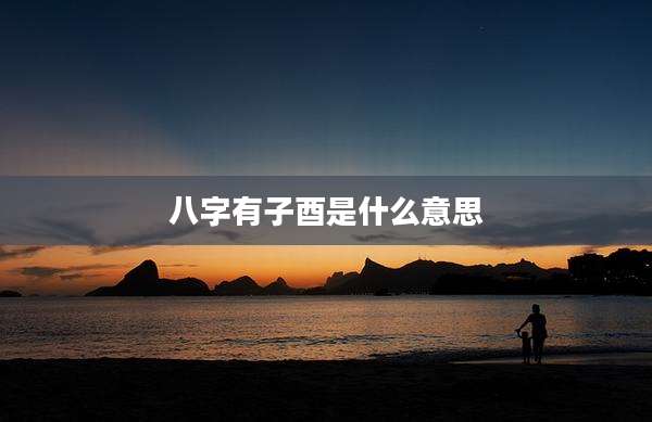 八字有子酉是什么意思