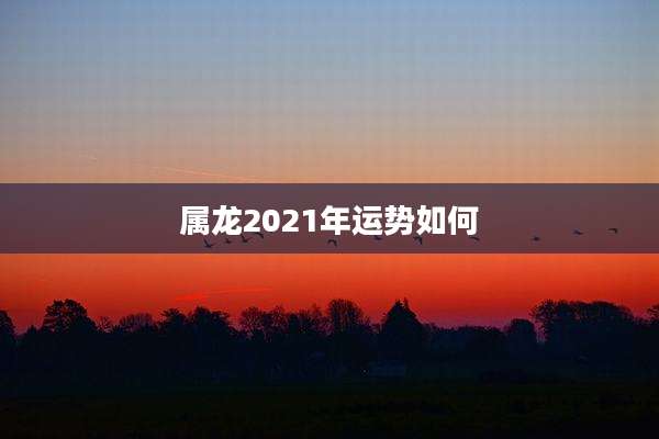 属龙2021年运势如何