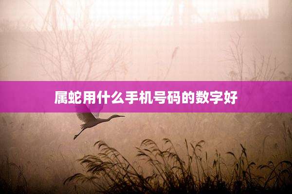 属蛇用什么手机号码的数字好