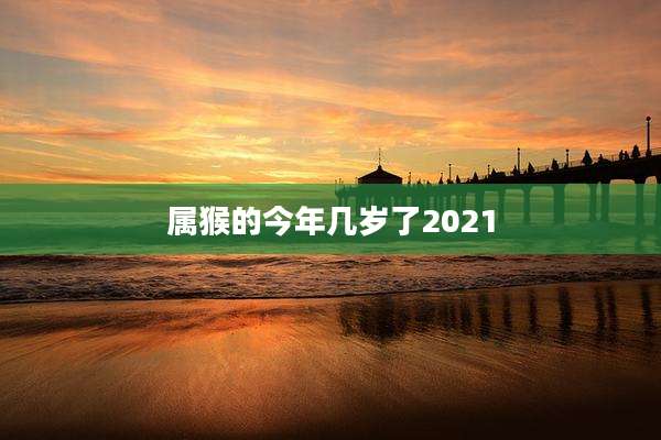 属猴的今年几岁了2021