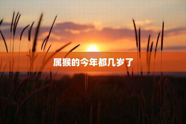 属猴的今年都几岁了