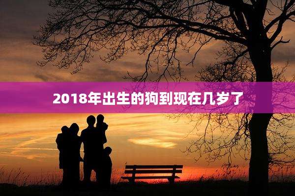2018年出生的狗到现在几岁了