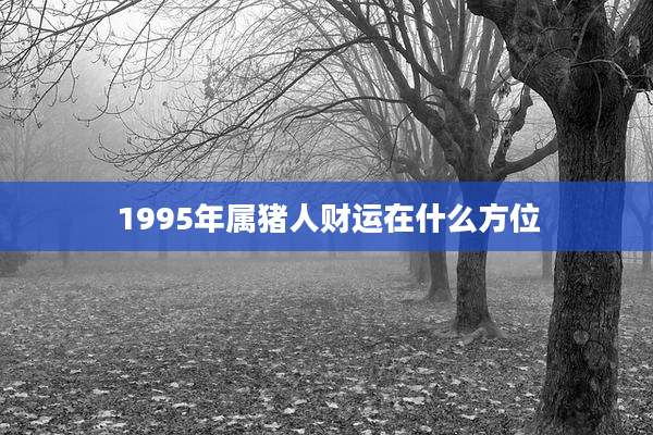 1995年属猪人财运在什么方位