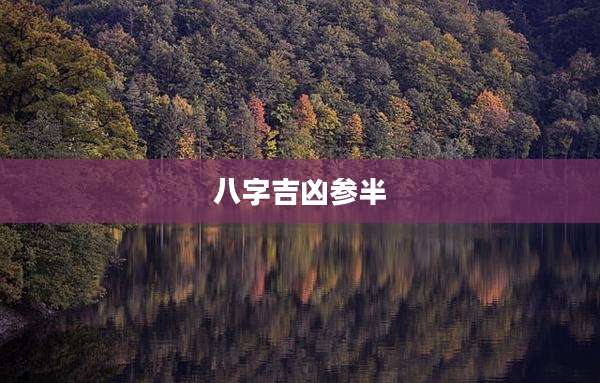 八字吉凶参半