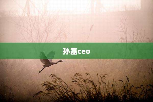 孙磊ceo