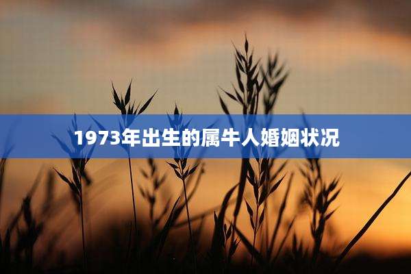 1973年出生的属牛人婚姻状况