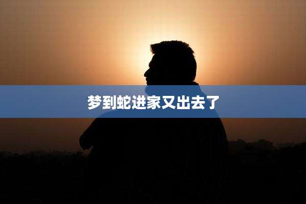 梦到蛇进家又出去了