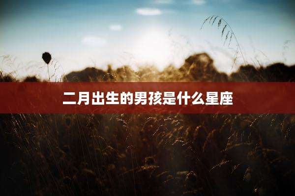 二月出生的男孩是什么星座