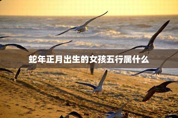 蛇年正月出生的女孩五行属什么