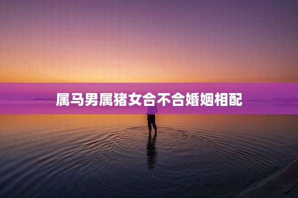 属马男属猪女合不合婚姻相配