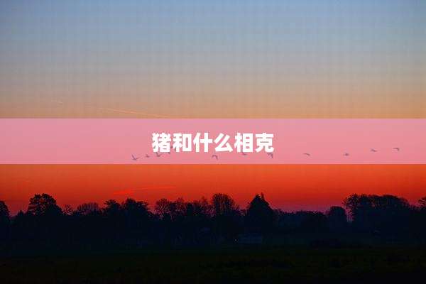 猪和什么相克